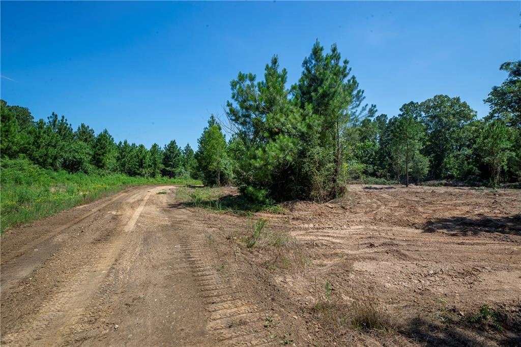 Lot 2 Mile Road Pitkin, LA 70656 - Photo 7 of 8