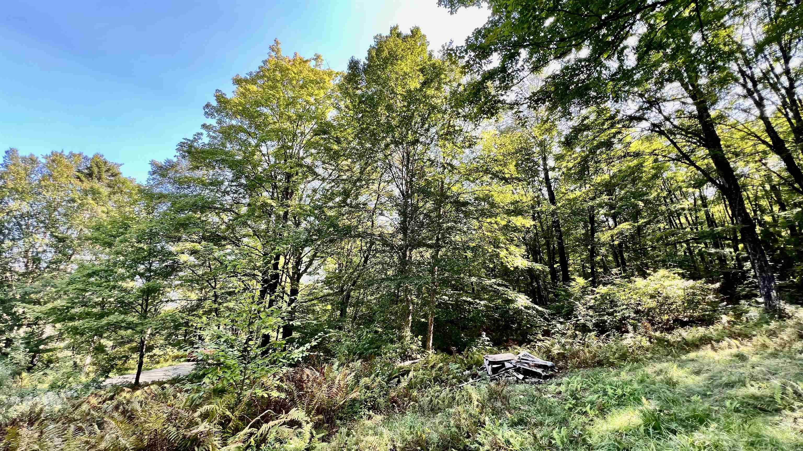 2075 Codding Hollow Road Johnson, VT 05656 - Photo 43 of 59