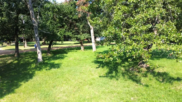 a view of a yard with a tree