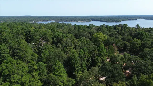 an aerial view of green landscape with trees houses and mountain view