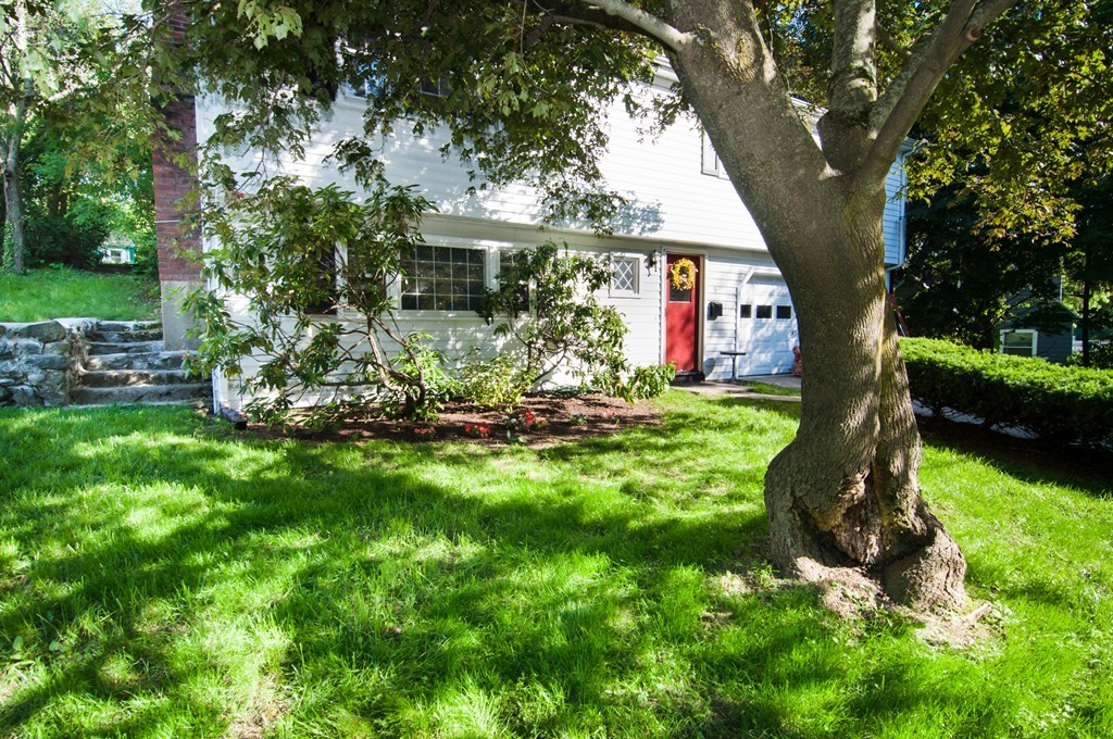 5 Morton Road Arlington, MA 02476 - Photo 2 of 12 Gallery Image 2