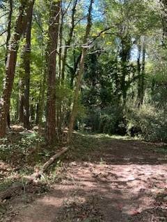 0 Campbellton Road Southwest Atlanta, GA 30331 - Photo 11 of 17