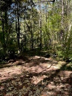 0 Campbellton Road Southwest Atlanta, GA 30331 - Photo 12 of 17