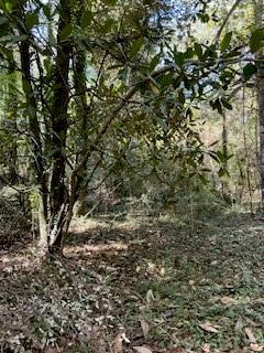 0 Campbellton Road Southwest Atlanta, GA 30331 - Photo 13 of 17