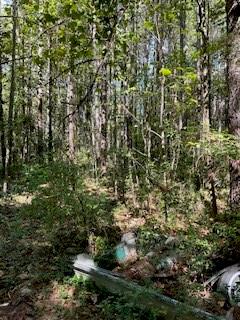 0 Campbellton Road Southwest Atlanta, GA 30331 - Photo 14 of 17