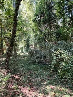 0 Campbellton Road Southwest Atlanta, GA 30331 - Photo 15 of 17