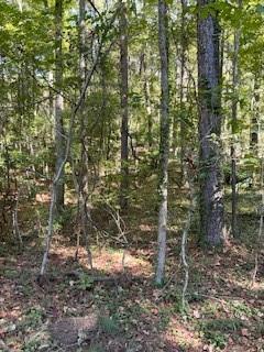 0 Campbellton Road Southwest Atlanta, GA 30331 - Photo 16 of 17