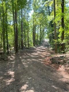 0 Campbellton Road Southwest Atlanta, GA 30331 - Photo 17 of 17