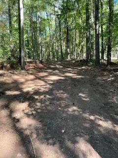 0 Campbellton Road Southwest Atlanta, GA 30331 - Photo 6 of 17