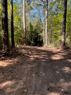 0 Campbellton Road Southwest Atlanta, GA 30331 - Photo 7 of 17