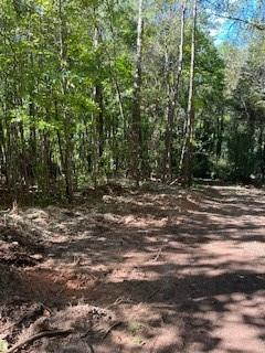 0 Campbellton Road Southwest Atlanta, GA 30331 - Photo 8 of 17