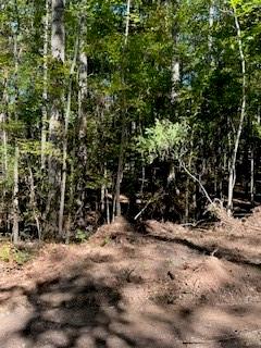 0 Campbellton Road Southwest Atlanta, GA 30331 - Photo 9 of 17