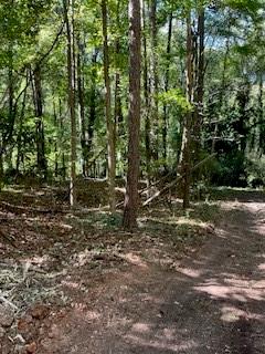 0 Campbellton Road Southwest Atlanta, GA 30331 - Photo 10 of 17