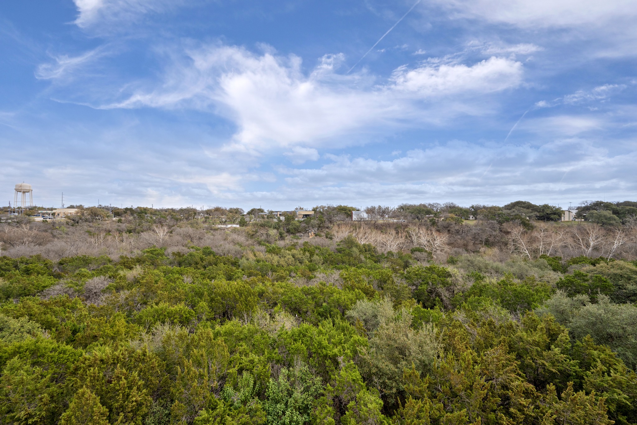 313 Adams Street Georgetown, TX 78628 - Photo 19 of 20 a view of a city