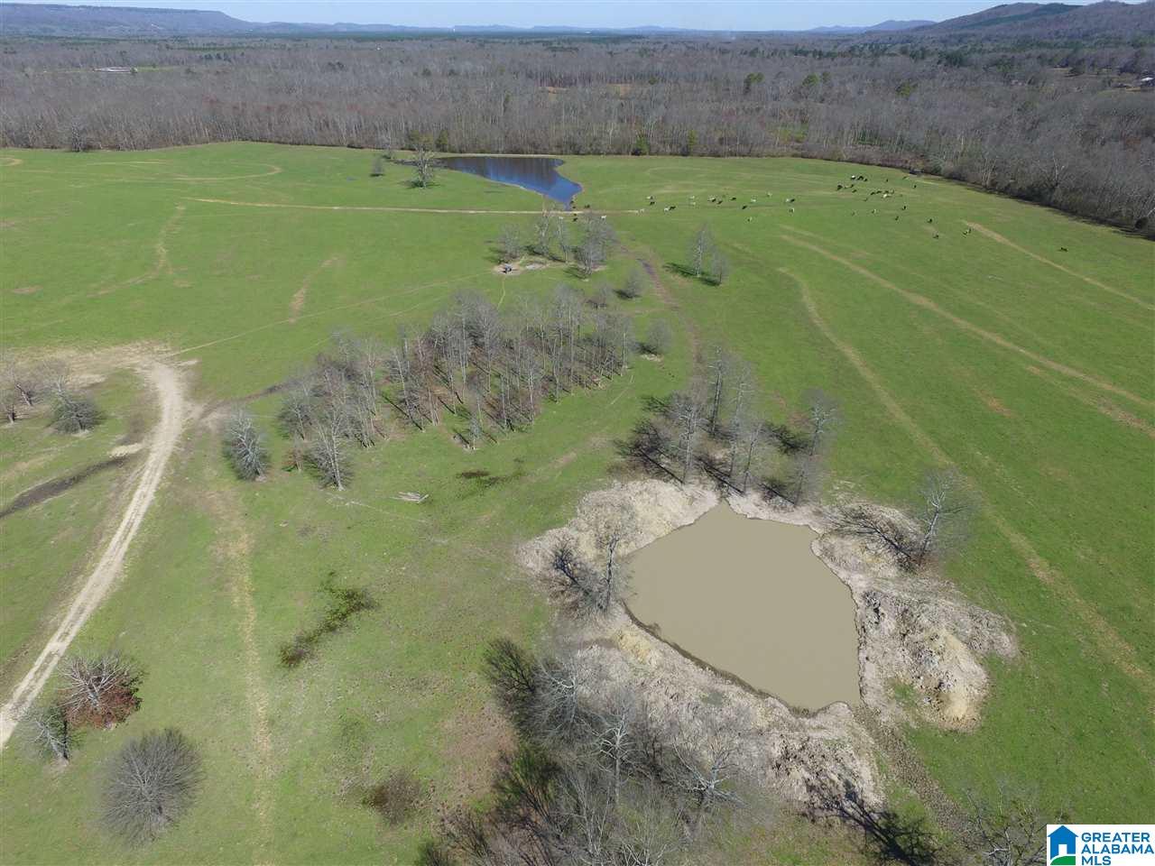 0 Double Bridge Road, Unit 286 Ashville, AL 35953 - Photo 14 of 34