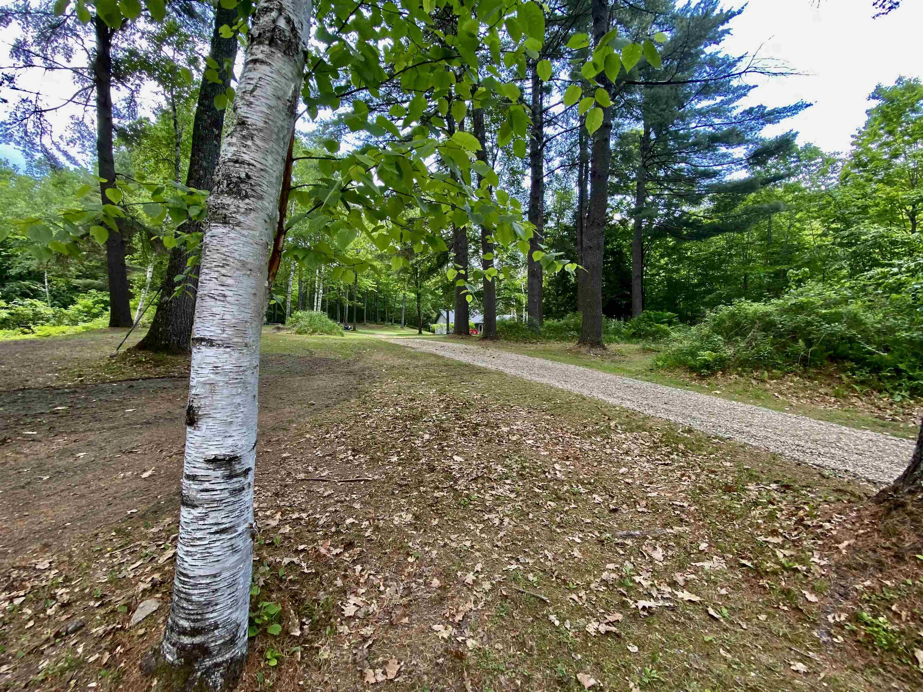 328 Norford Lake Road Norwich, VT 05055 - Photo 13 of 18 Gallery Image 13