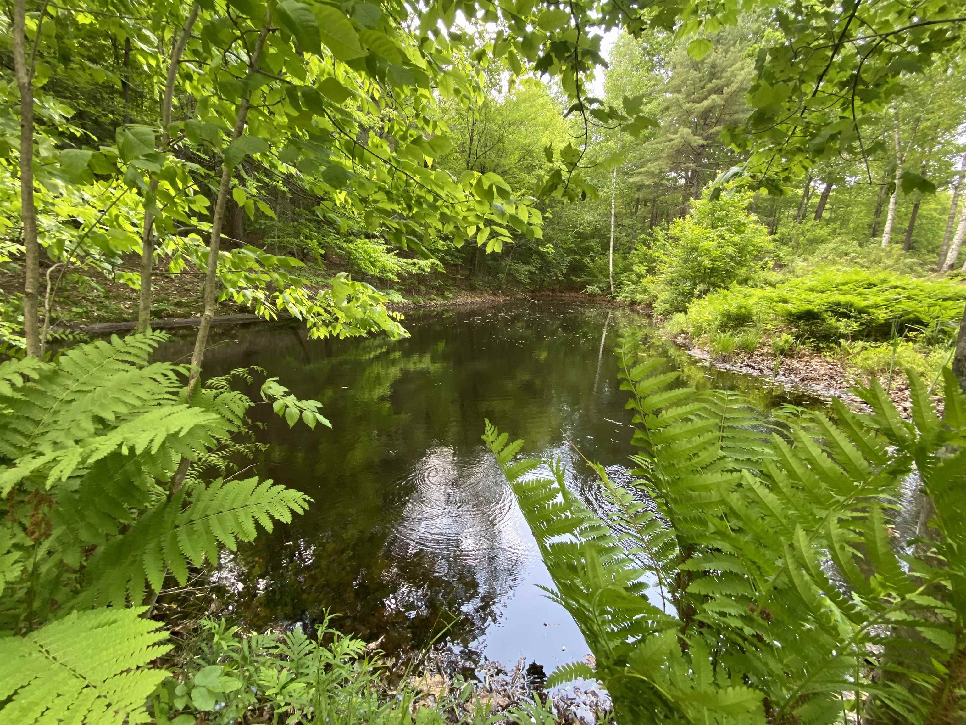 328 Norford Lake Road Norwich, VT 05055 - Photo 15 of 18 Gallery Image 15