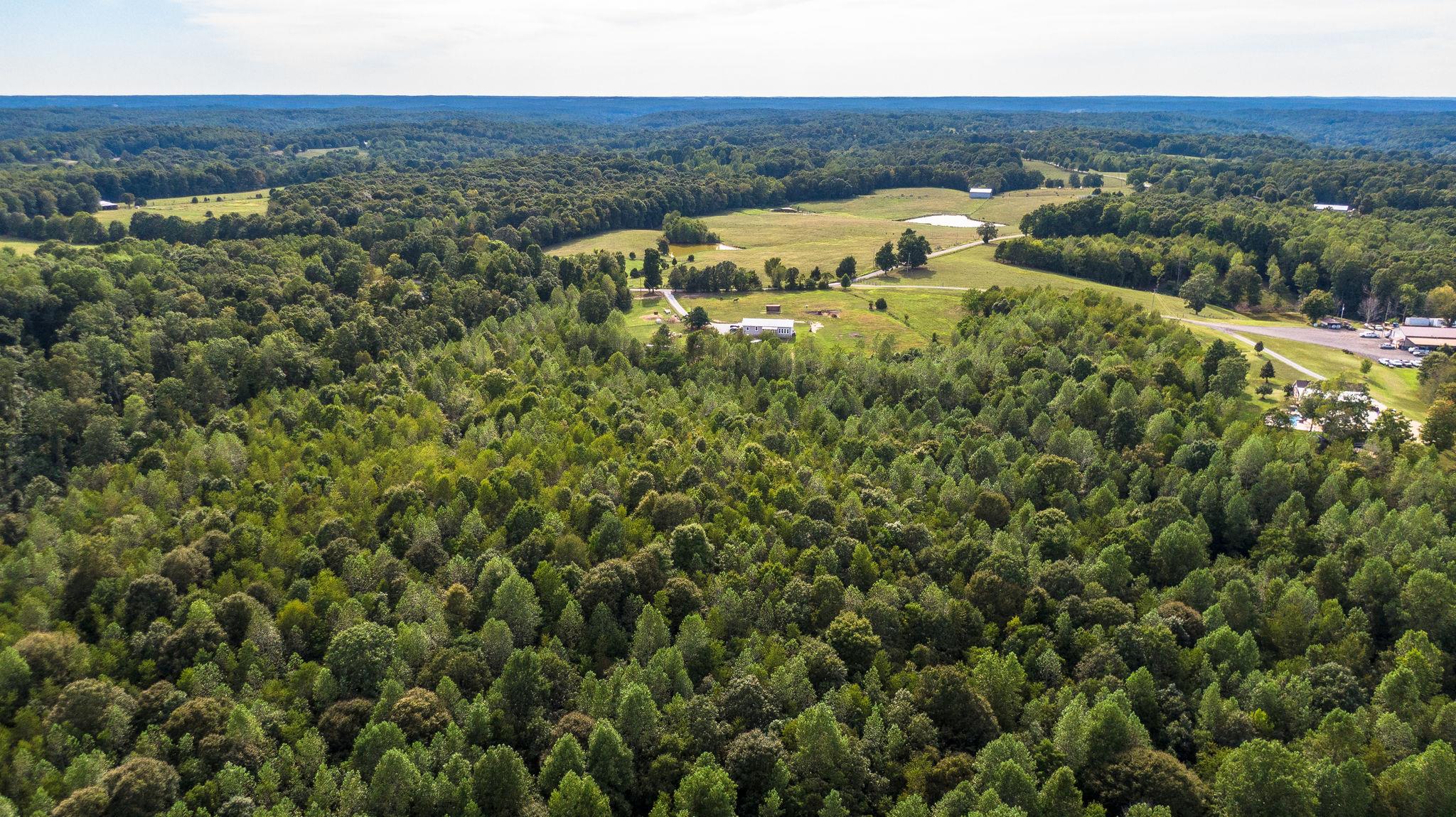 1132 Halliburton Road Vanleer, TN 37181 - Photo 28 of 30 Gallery Image 28