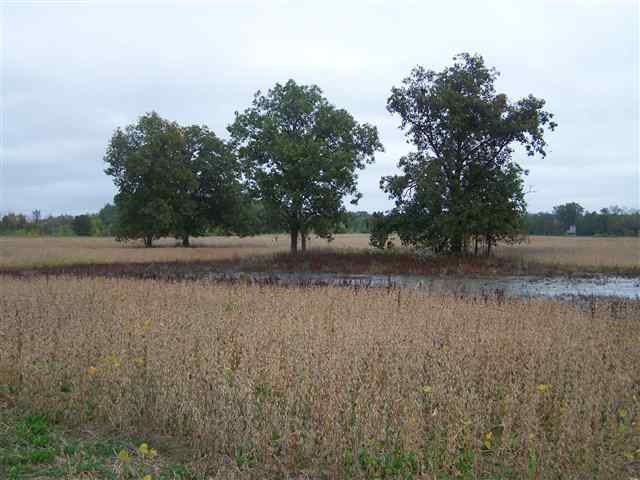 2000 South Morrice Road Owosso, MI 48867 - Photo 2 of 9 31075254-1.JPG