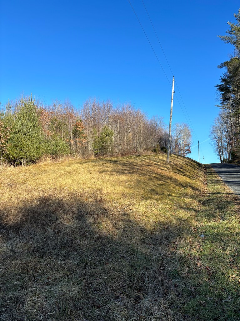 Tdb Pine Branch Road Laurel Fork, VA 24352 - Photo 3 of 10 Gallery Image 3