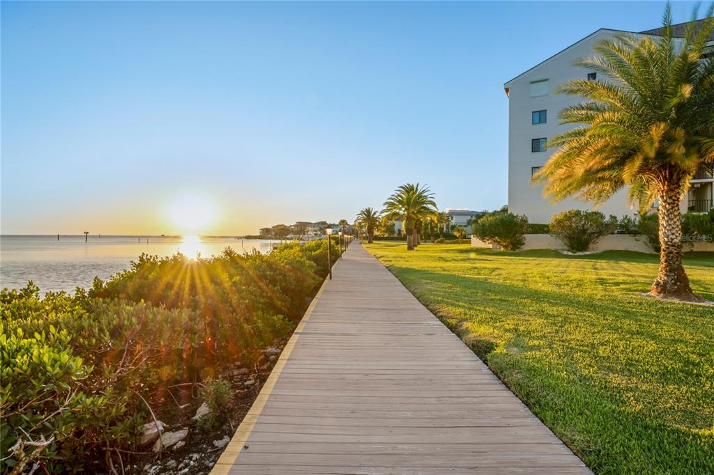 8251 Brent Street, Unit 922 Port Richey, FL 34668 - Photo 74 of 99 Gallery Image 74