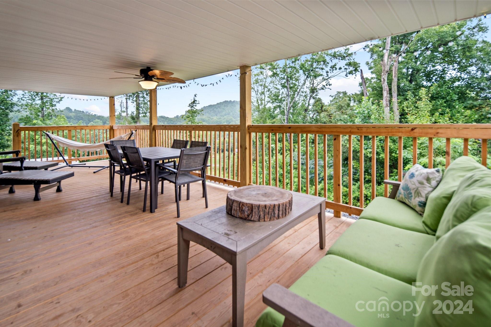 112 Cook Road Hot Springs, NC 28743 - Photo 6 of 37 Gallery Image 6