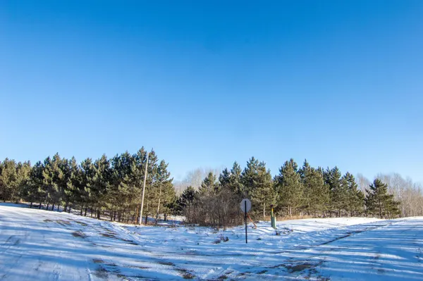 $129,000 | Tbd 310th Street, Deer Creek, MN 56527