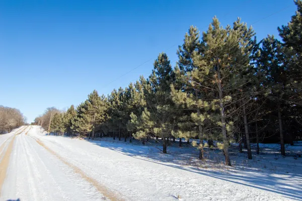 $129,000 | Tbd 310th Street, Deer Creek, MN 56527