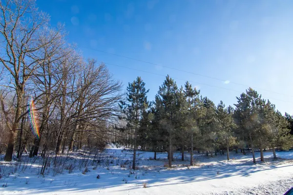 $129,000 | Tbd 310th Street, Deer Creek, MN 56527