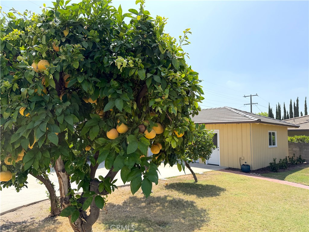 416 Drake Road Arcadia, CA 91007 - Photo 25 of 29