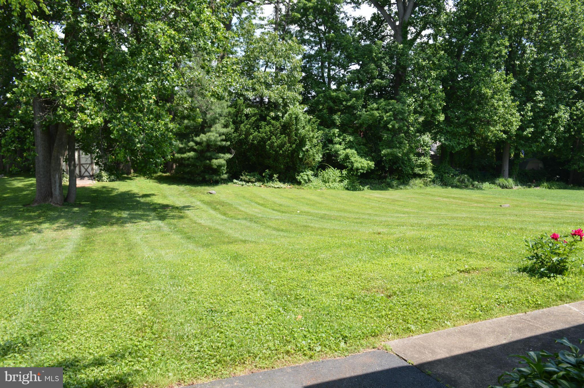 2308 Reckord Road Joppa, MD 21085 - Photo 5 of 17 a view of a big yard with plants and large trees