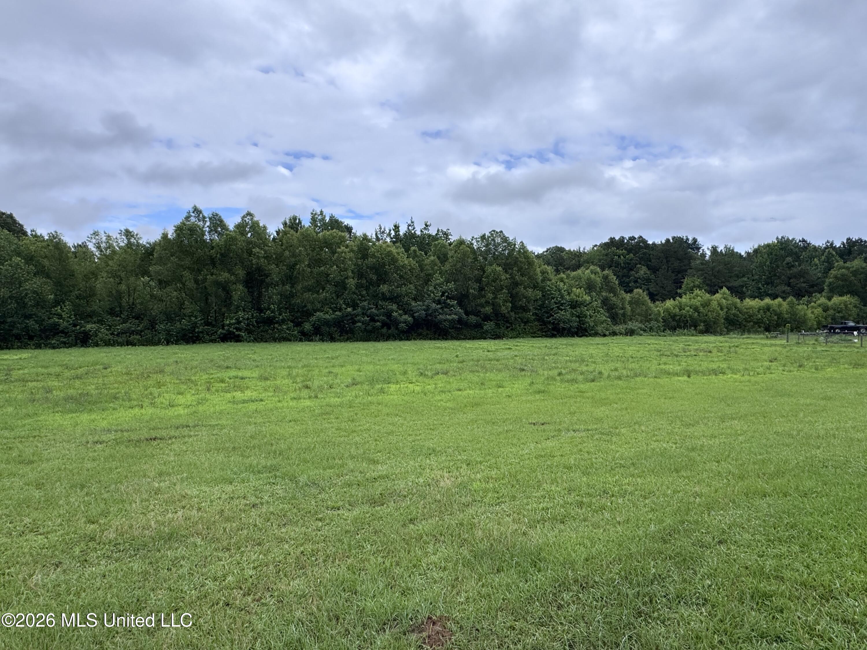 1010 Barr Road Coldwater, MS 38618 - Photo 15 of 17 IMG_1176