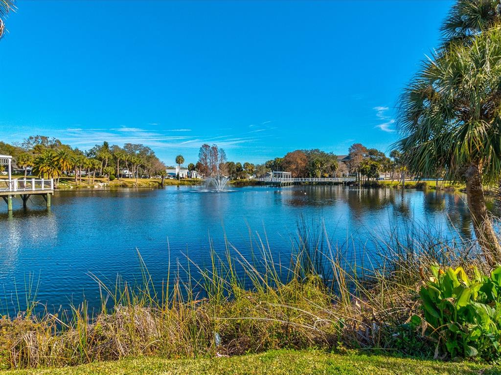 5638 Virginia Avenue New Port Richey, FL 34652 - Photo 36 of 39