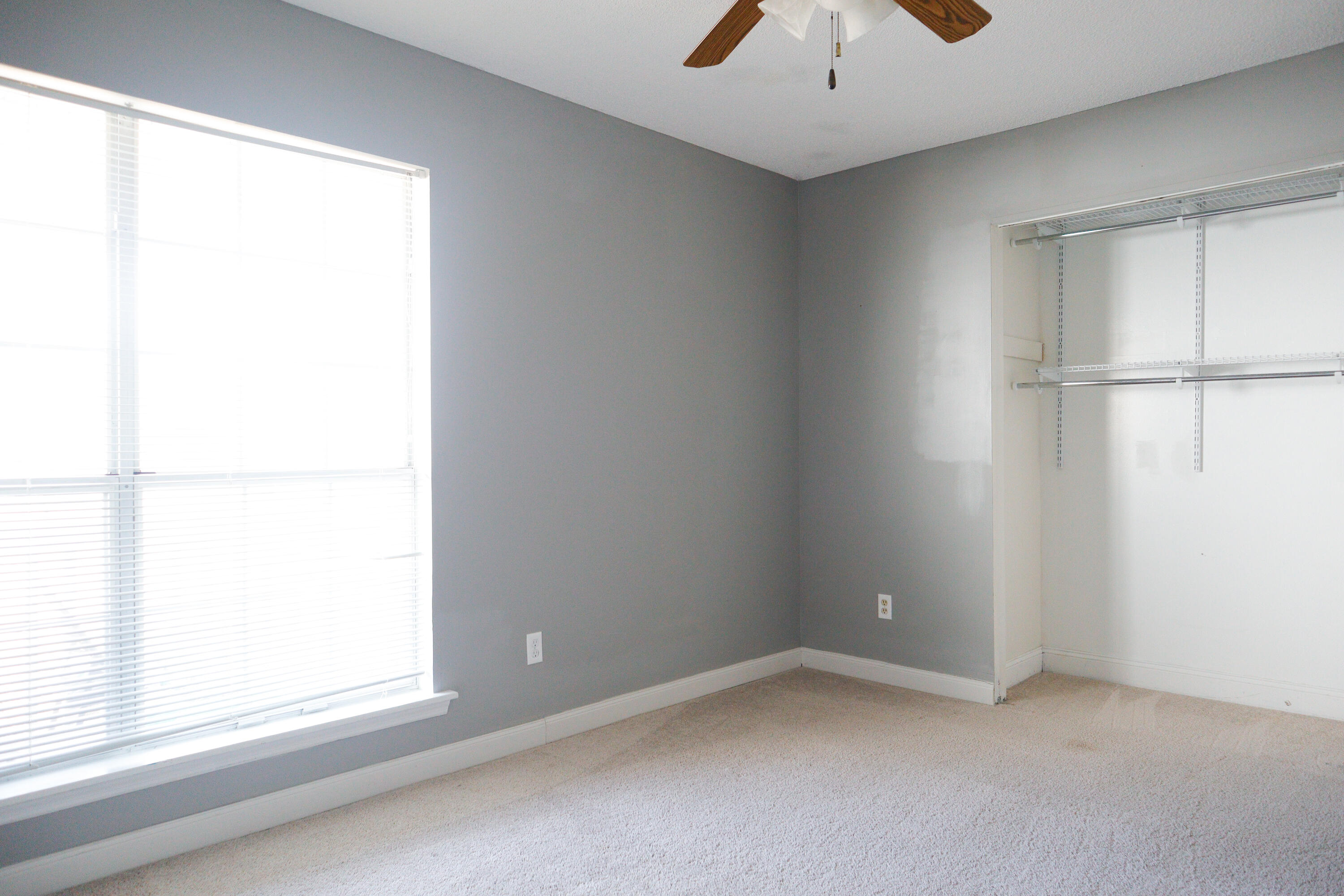 525 Laurel Ridge Road Charleston, SC 29418 - Photo 33 of 42 20251121-_MG_0126