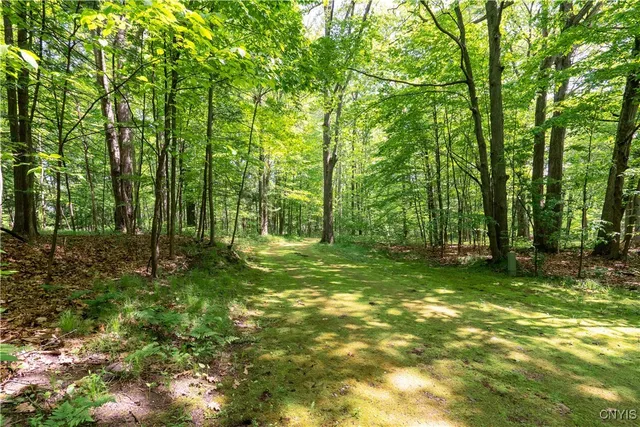 $386,000 | 22000 Club House Drive, Alexandria, NY 13640