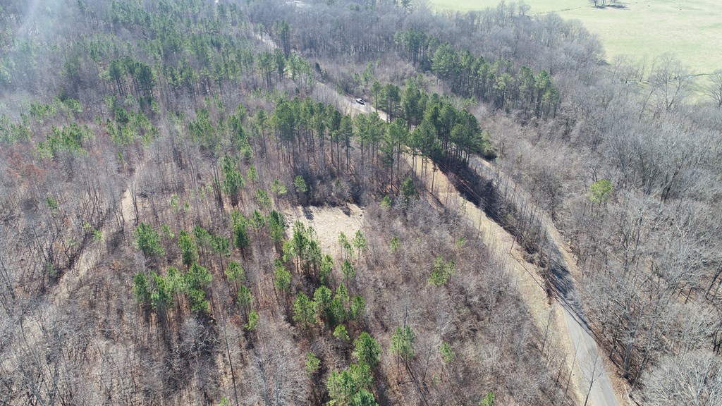 Tract #9 Tract Road, Unit TRACT #9 Cohutta, GA 30710 - Photo 8 of 15 LOT 9 LOWER LOT SOUTH