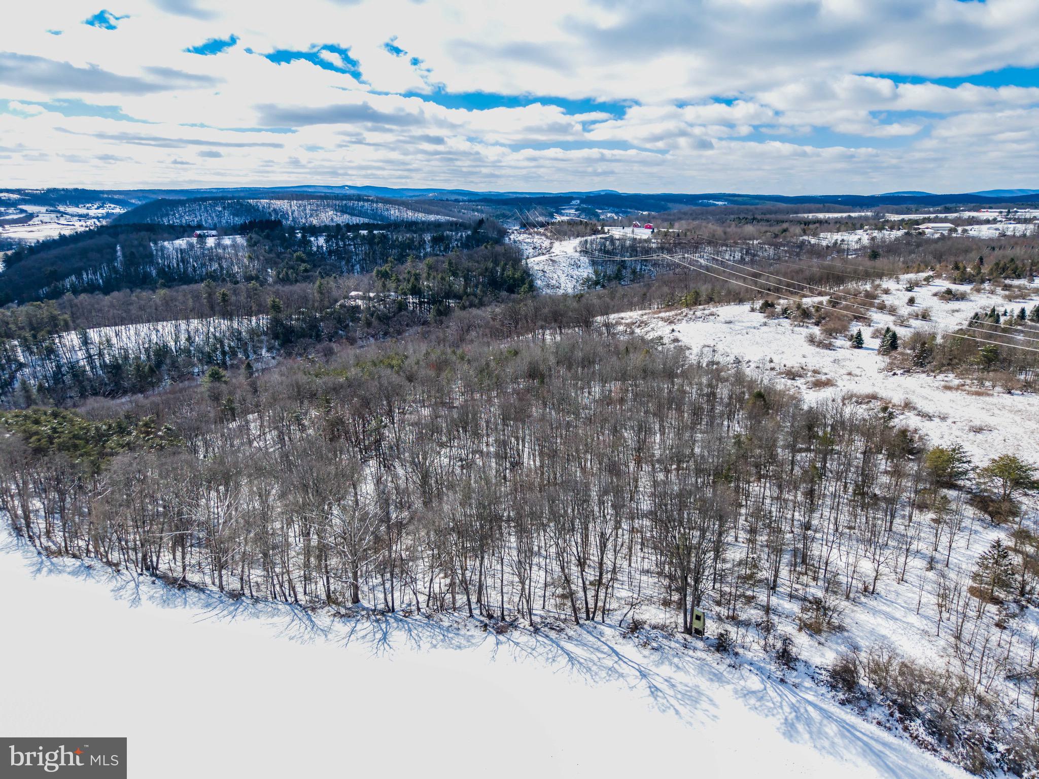 0 Spiggs Hill Road Mount Pleasant Mills, PA 17853 - Photo 2 of 11 a view of ocean