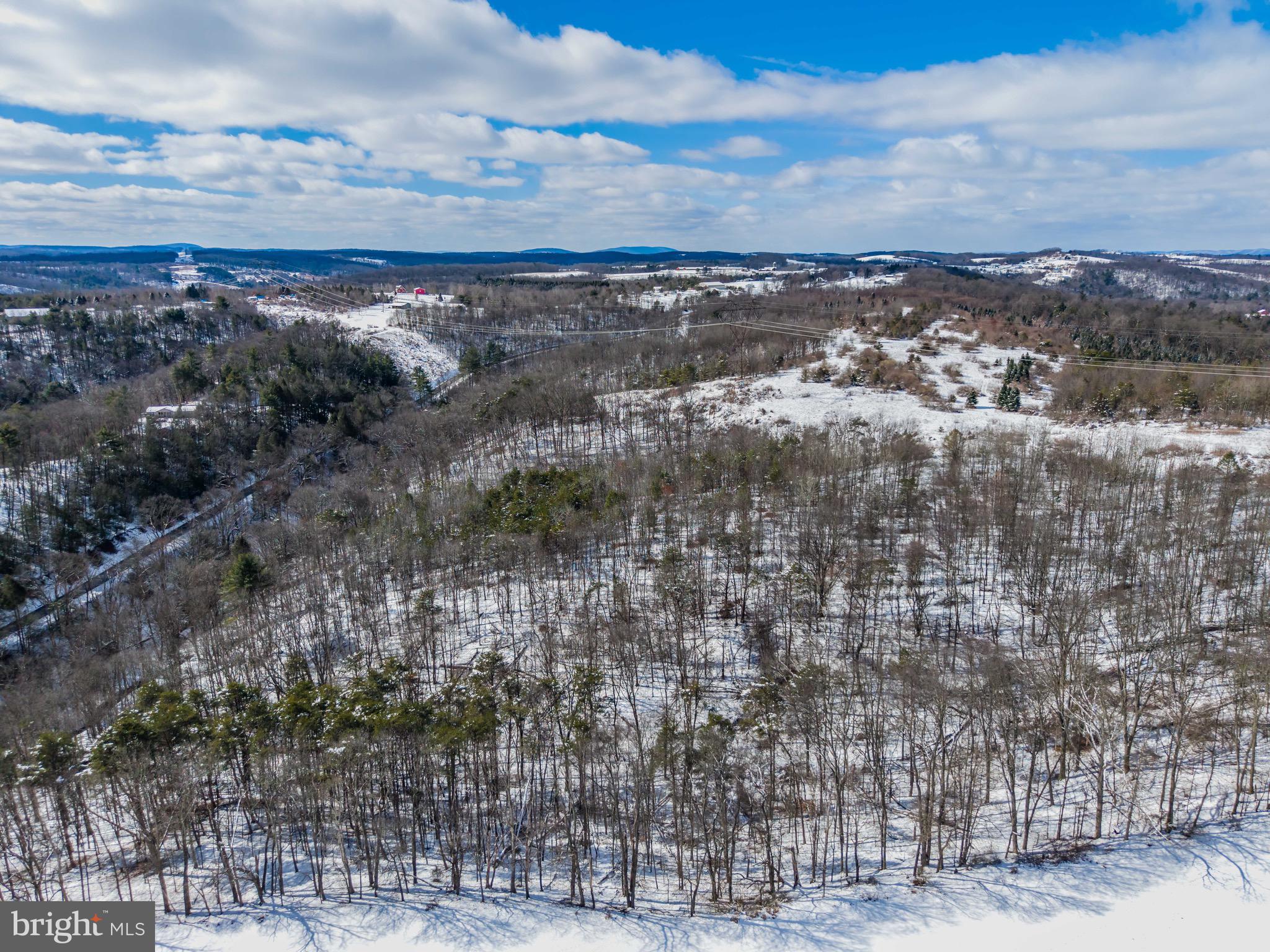 0 Spiggs Hill Road Mount Pleasant Mills, PA 17853 - Photo 9 of 11