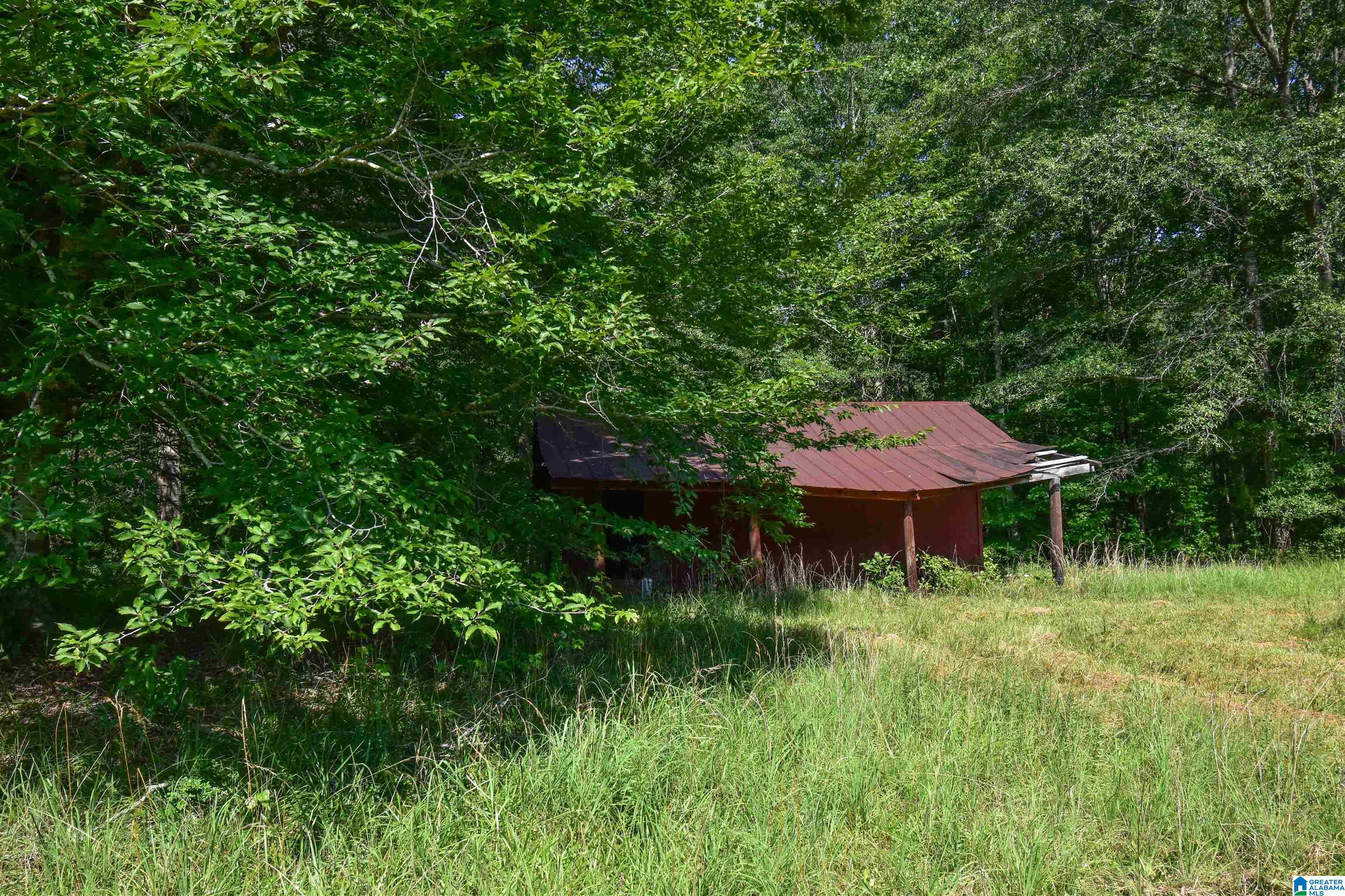 373 Myers Road Berry, AL 35546 - Photo 62 of 74