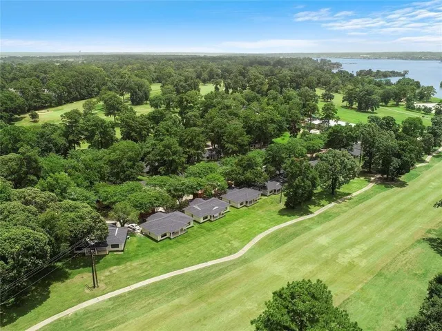 an aerial view of residential houses with outdoor space and trees