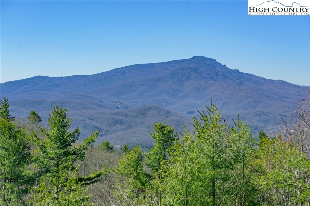 187 Hialeah Lane Boone, NC 28607 - Photo 5 of 43