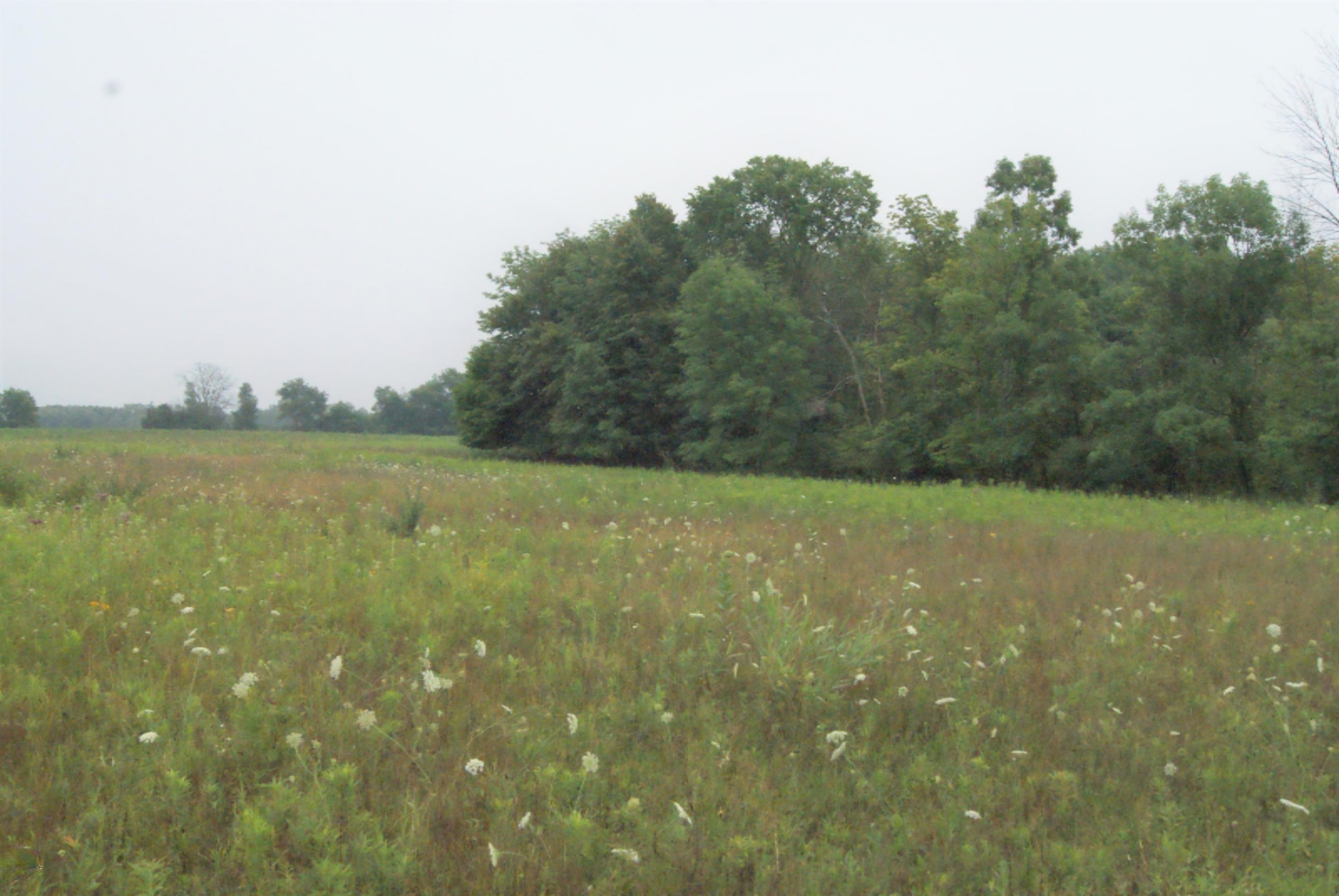 Six Miles Road Six Lakes, MI 48886 - Photo 5 of 9 DSC02633