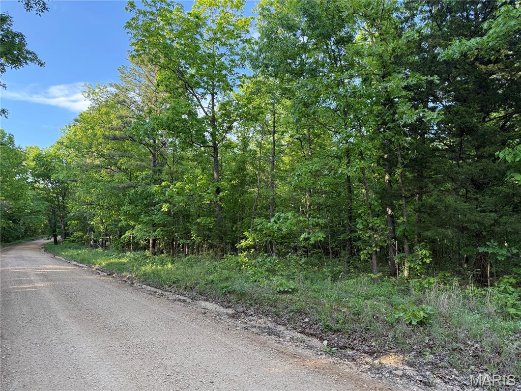 2 Carter 327 Ellsinore, MO 63937 - Photo 2 of 5