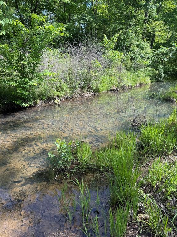 2 Carter 327 Ellsinore, MO 63937 - Photo 3 of 5