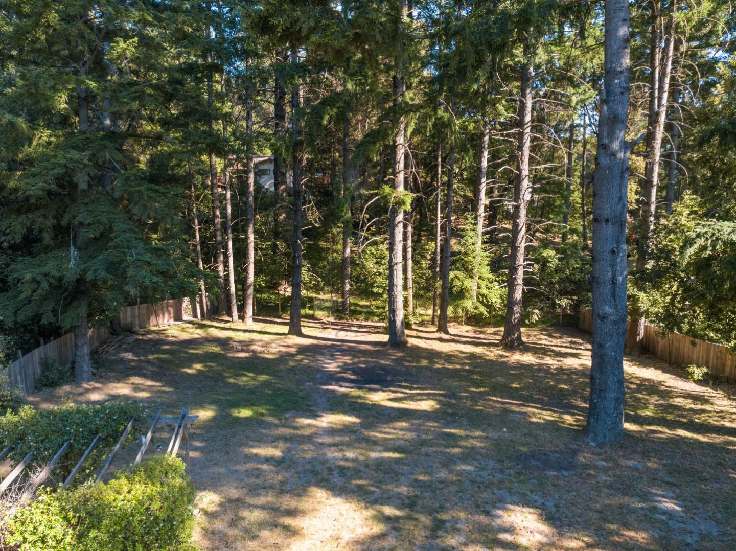 1850 Pine Flat Road Santa Cruz, CA 95060 - Photo 42 of 62 a view of a tree in front of a house