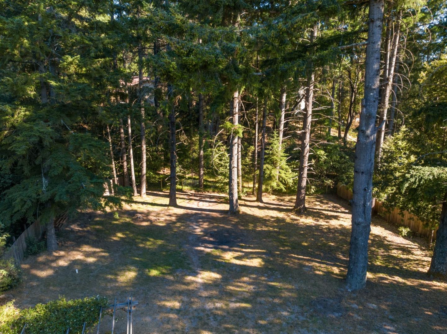 1850 Pine Flat Road Santa Cruz, CA 95060 - Photo 43 of 62 a view of a tree in the middle of a yard