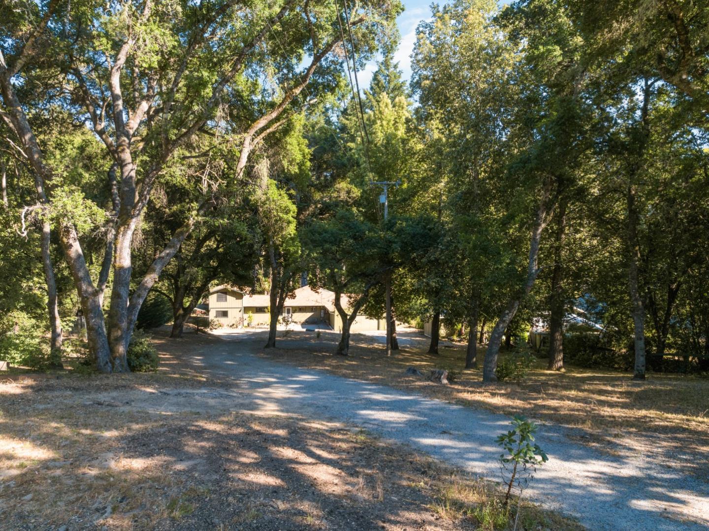 1850 Pine Flat Road Santa Cruz, CA 95060 - Photo 44 of 62 a view of yard with tree