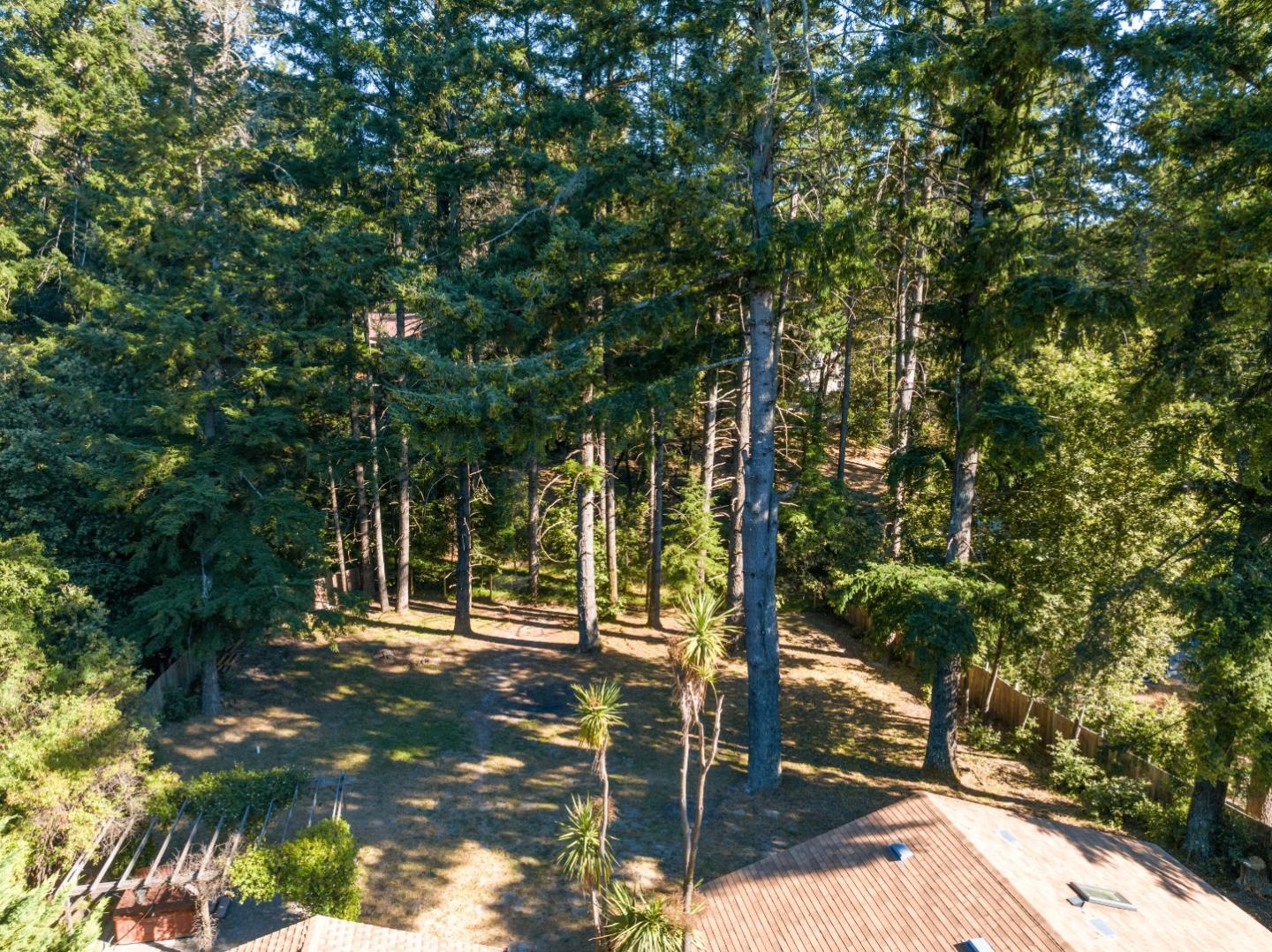1850 Pine Flat Road Santa Cruz, CA 95060 - Photo 45 of 62 a view of outdoor space
