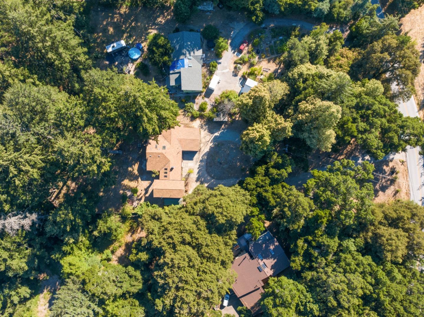 1850 Pine Flat Road Santa Cruz, CA 95060 - Photo 46 of 62 a picture of flowers