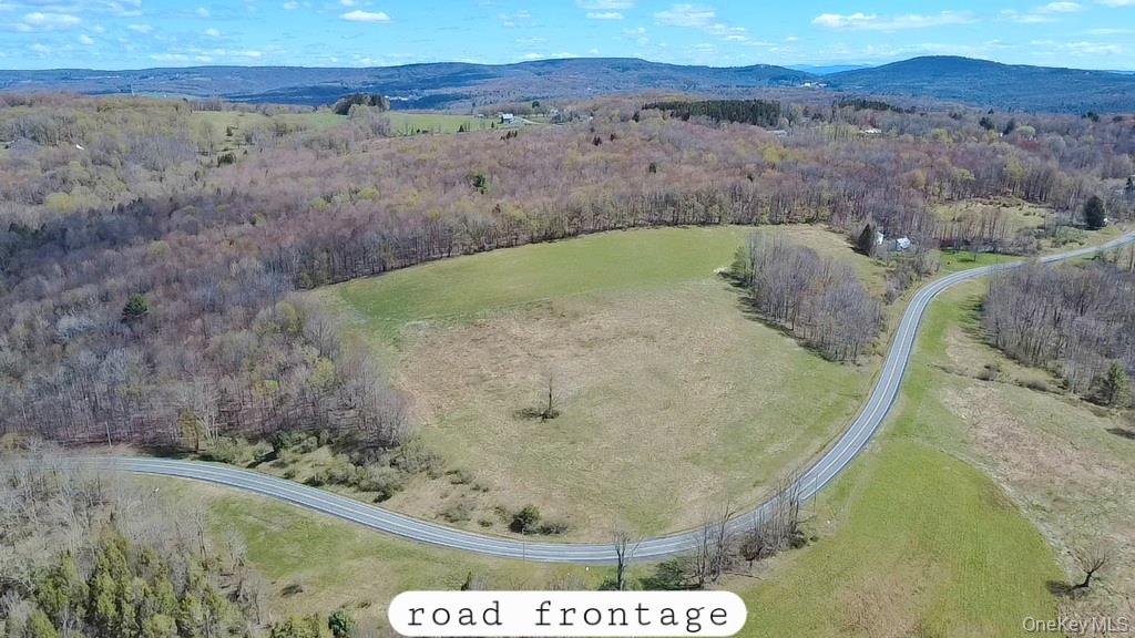 1089 Briscoe Road Swan Lake, NY 12783 - Photo 2 of 17